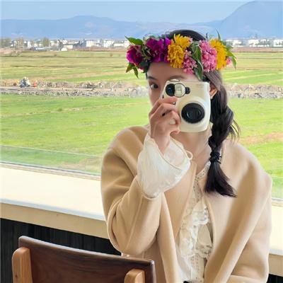 海岸猎鹰在线观看封面