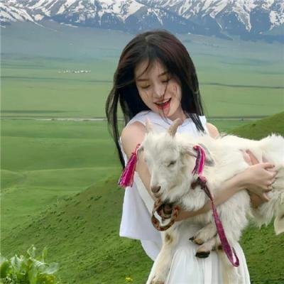 广东十虎苏灿之神龙摆尾在线观看封面
